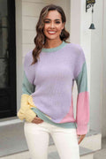 Angel Wings Color Block Round Neck Drop Shoulder Sweater - Hovatok