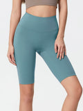 Millennia High Rise Wide Waistband Active Shorts - Hovatok