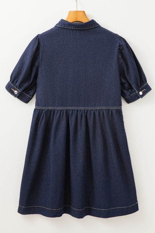 Collared Neck Half Zip Denim Dress - Hovatok