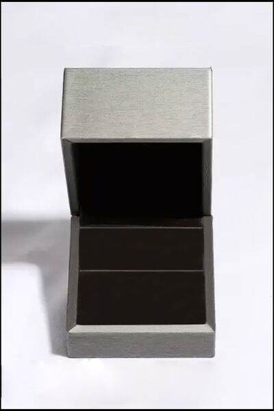 Adored Inlaid Moissanite 925 Sterling Silver Hoop Earrings - Hovatok