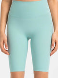Millennia High Rise Wide Waistband Active Shorts - Hovatok