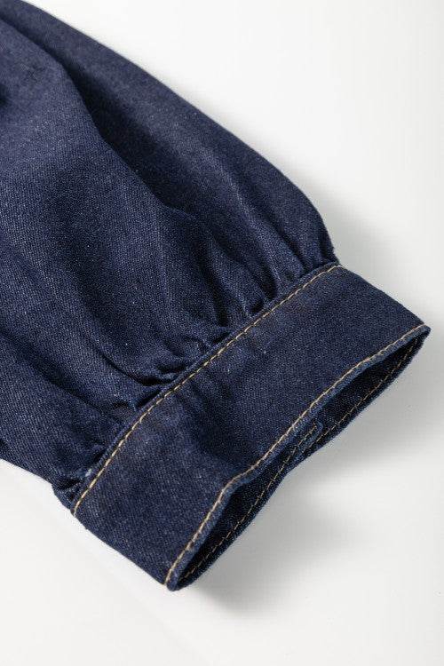 Collared Neck Half Zip Denim Dress - Hovatok