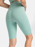 Millennia High Rise Wide Waistband Active Shorts - Hovatok