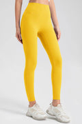 High Waist Skinny Active Pants - Hovatok
