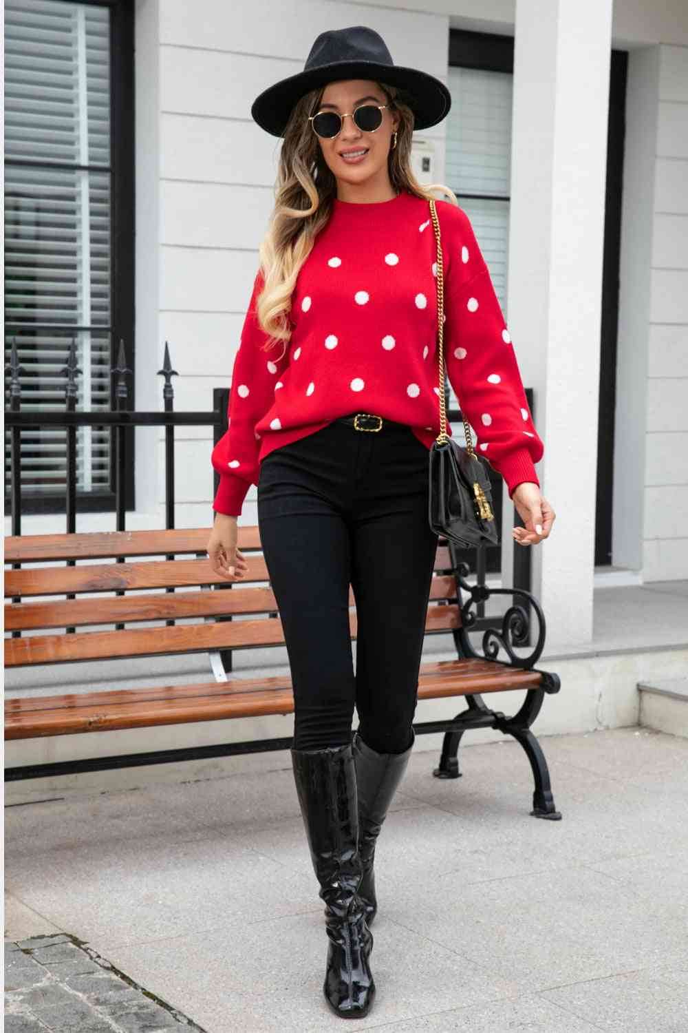 Angel Wings Woven Right Polka Dot Round Neck Dropped Shoulder Sweater - Hovatok