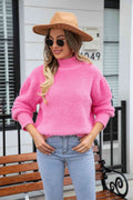 Angel Wings Turtle Neck Long Sleeve Pullover Sweater - Hovatok