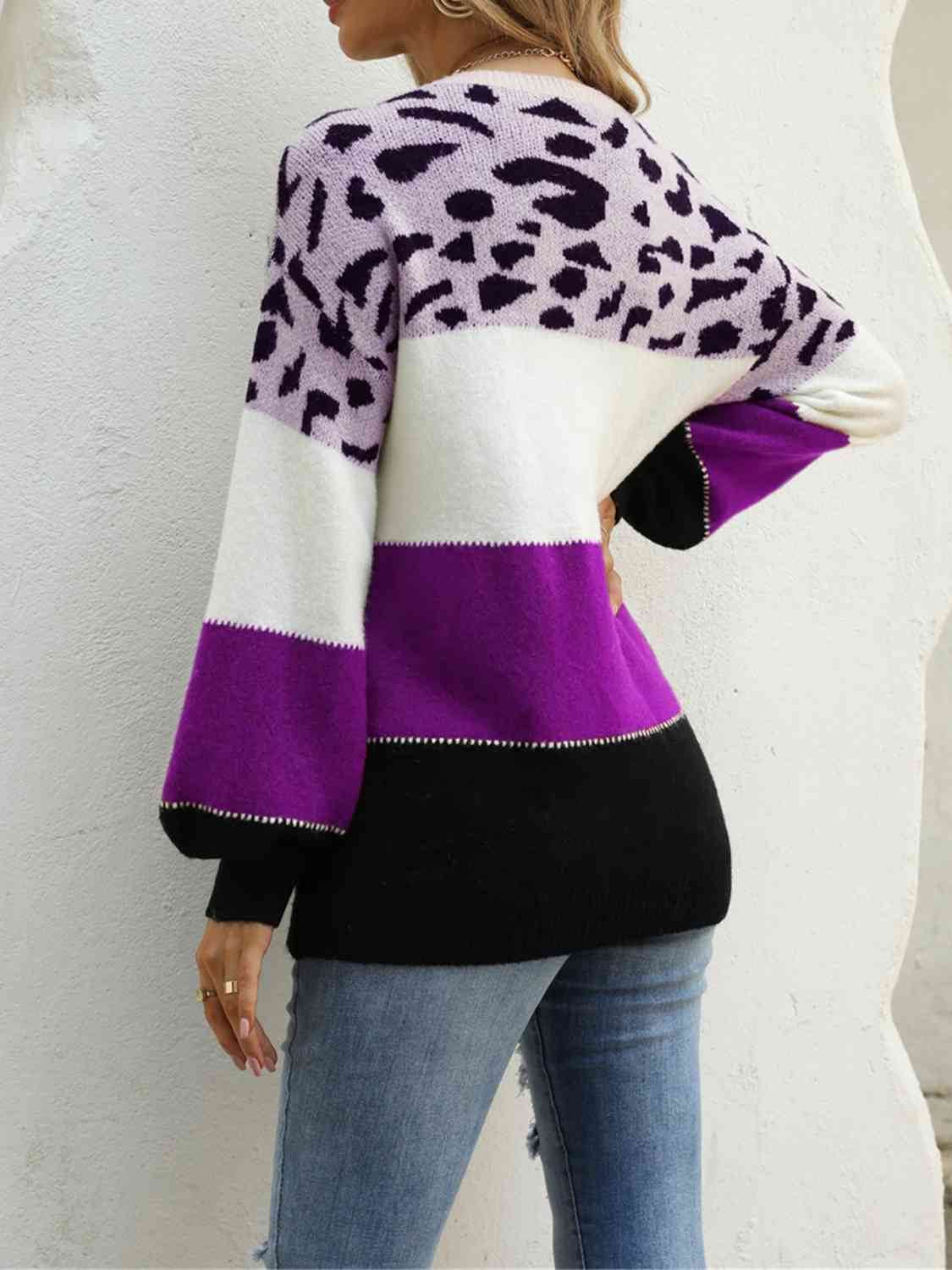 Angel Wings Color Block Round Neck Sweater - Hovatok